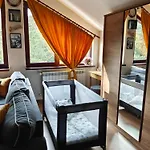 Dream * Borovec